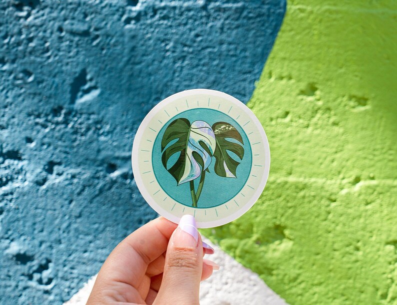 Painted Monstera Sticker Monstera Deliciosa Variegated Monstera Leaves Plant Illustration Digital Art Sticker image 4