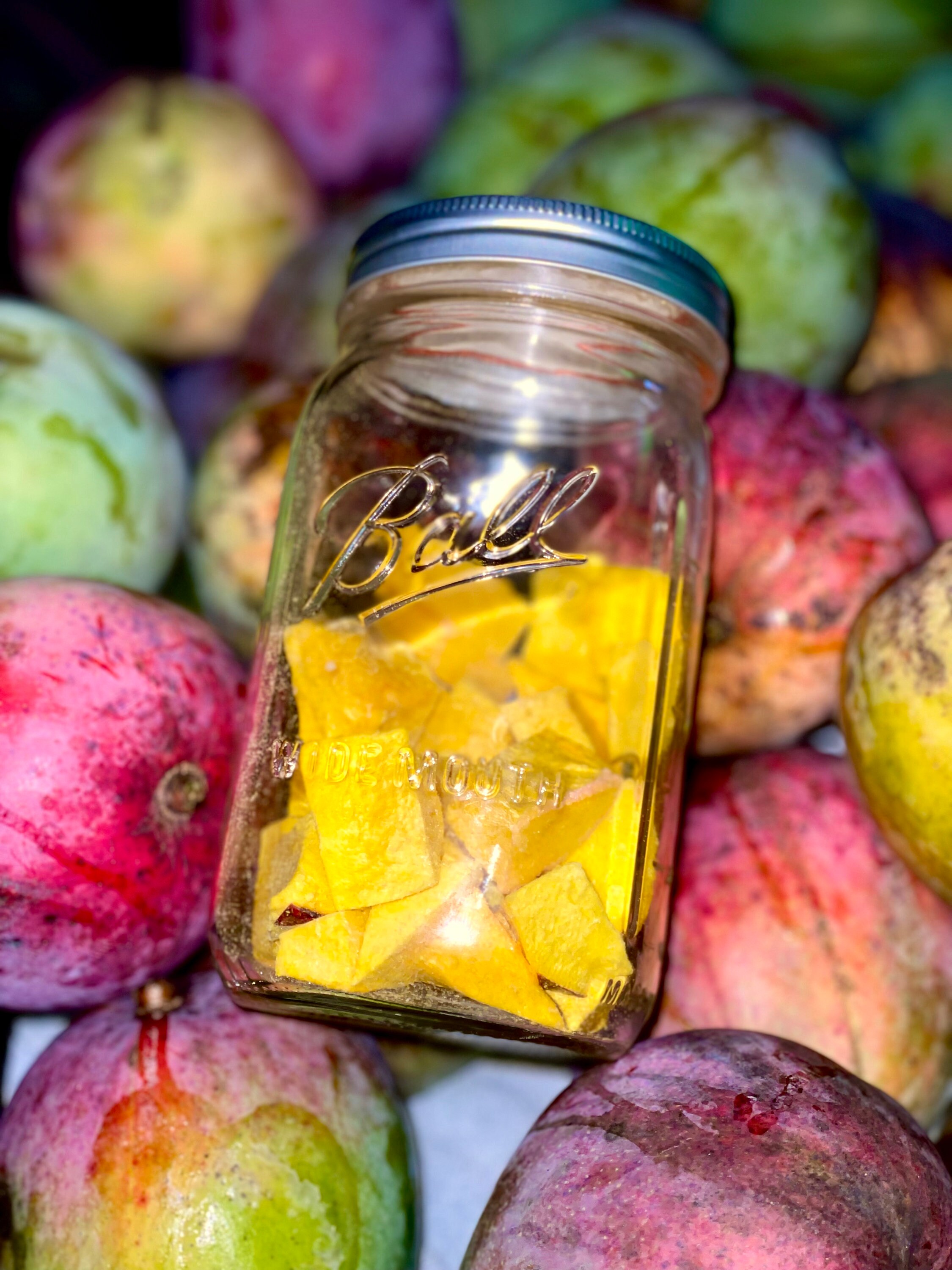 Freeze dried Mango Bites Etsy