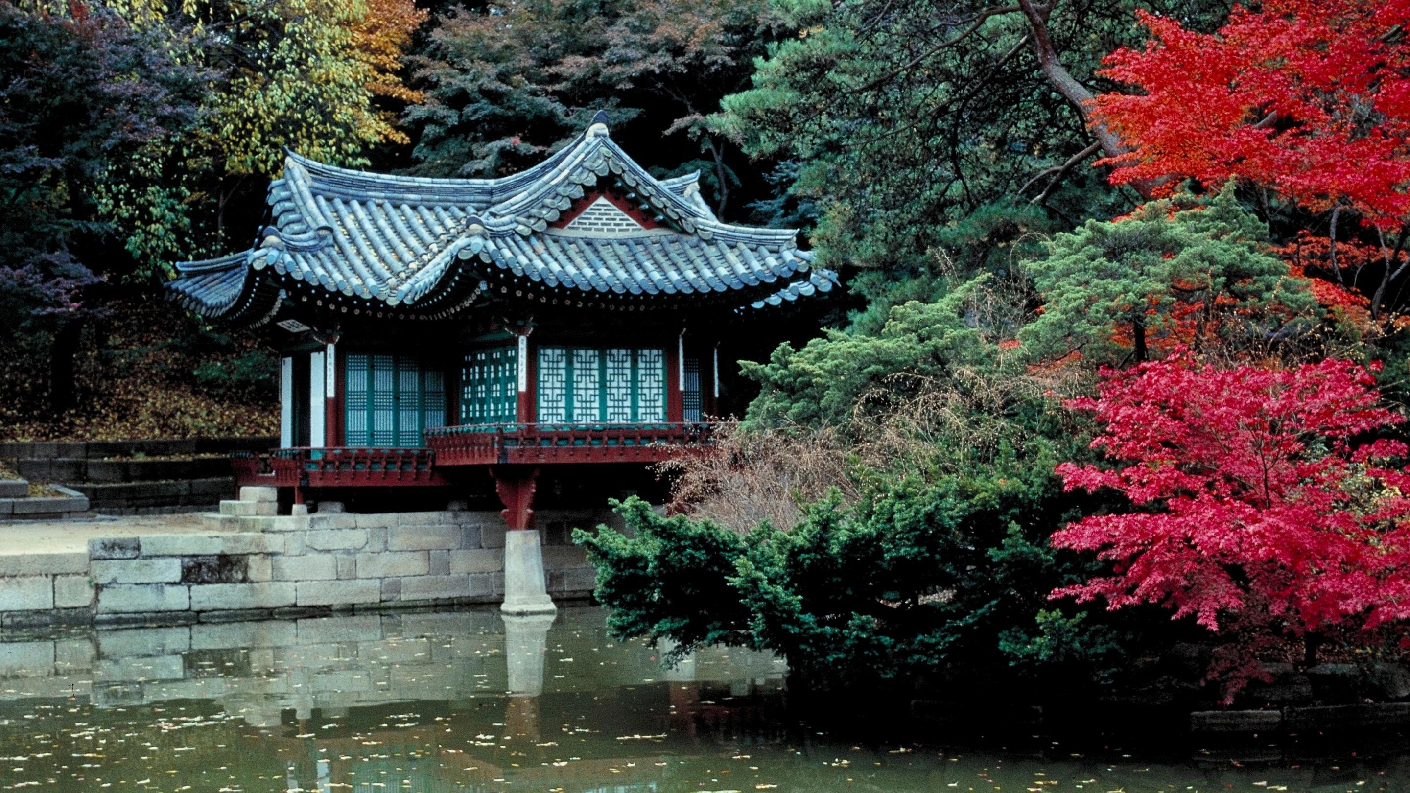 Joe Exotic Zoom Virtual Background vrogue.co