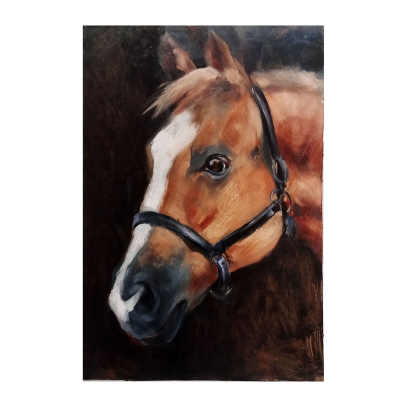Старые мастера портреты лошадей маслом. Лошади картины художников. Автор лошади. Лошади автор. Лошади автор.