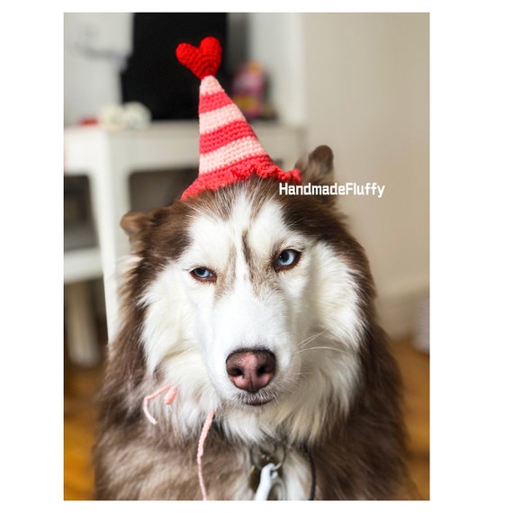 Etsy dog birthday hat 2025
