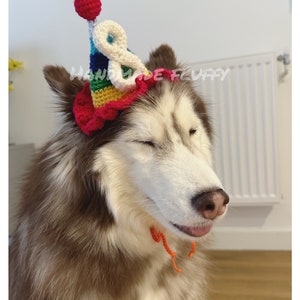 Lovely pet birthday hat dog and cat celebration party colorful hat Age hat