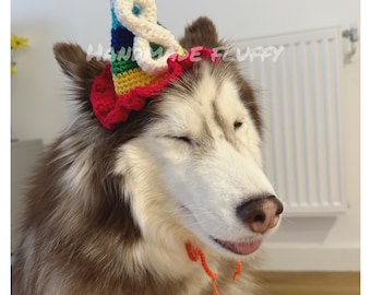 May include: A brown and white husky dog wearing a handmade, colorful crochet party hat with the text "HANDMADE FLUFFY". The hat has a red base, rainbow stripes, and a white number eight.