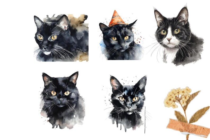 Black Cat Clipart Bundle: PNG Graphics for Crafting (digital Download ...