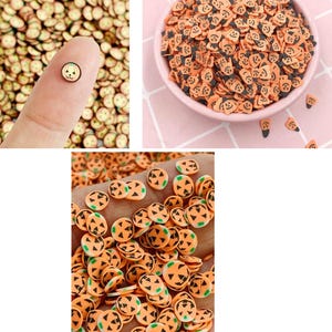 Polymer Clay Pumpkin Slices, Fake Sprinkles, Polymer Clay Slices, Polymer Clay Fake Sprinkles, Slime, Resin Fillers