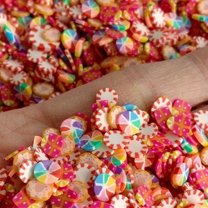 Polymer Clay Candy Slices: Donut & Sprinkles, Slime Resin Fillers