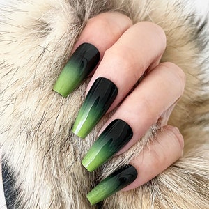 May include: Long, square-shaped false nails with a gradient design. The nails transition from a deep black at the base to a vibrant green at the tips. The nails are shown against a backdrop of light brown fur.