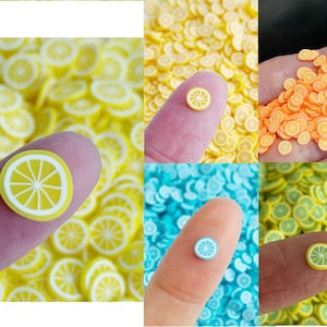Polymer Clay Lemon Fruit Slices, Fake Fruit Sprinkles, Polymer Clay Slices, Polymer Clay Fake Sprinkles, Slime, Resin Fillers