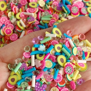 Tropical Fruit Polymer Clay Slices: Slime & Resin Fillers