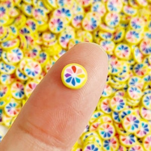 Polymer Clay Rainbow Citrus Fruit Slices, Fake Sprinkles, Polymer Clay Slices, Polymer Clay Fake Sprinkles, Slime, Resin Fillers (C099)