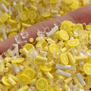 Iced Lemonade, Rhinestone Mix w/ Lemon Slices, Polymer Clay Fake Sprinkles, Slime Fillers #C737