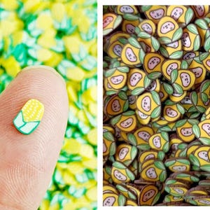 Polymer Clay Corn Slices, Fake Food Sprinkles, Polymer Clay Slices, Polymer Clay Fake Sprinkles, Slime, Resin Fillers
