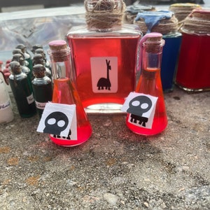 Kuzco’s Poison Inspired Potion Bottle