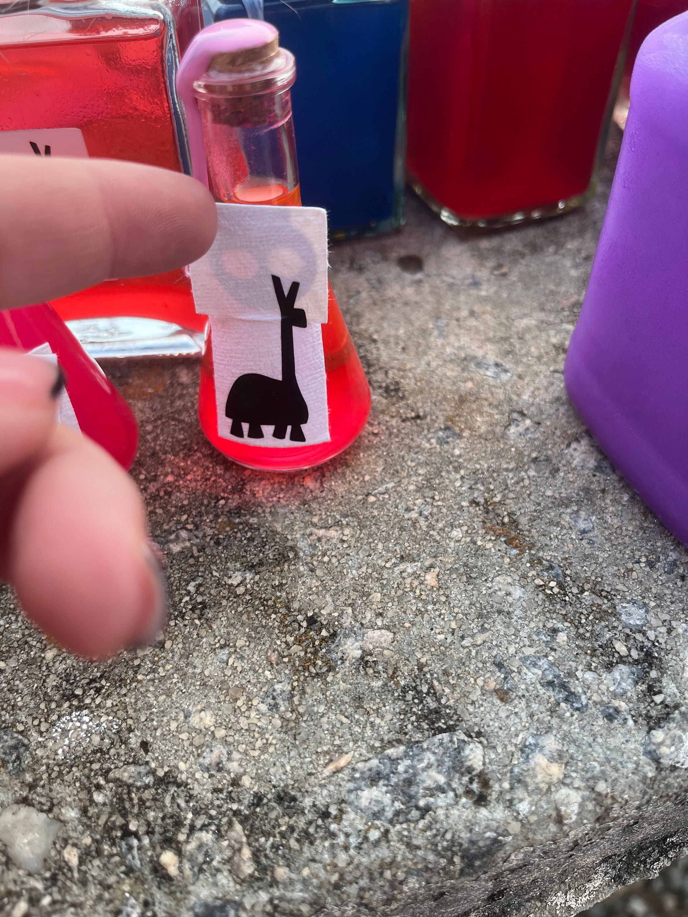 Kuzco’s Poison Inspired Potion Bottle - Etsy