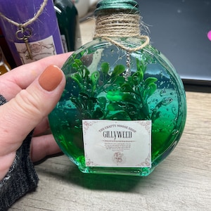 Wizarding Inspired Potion Bottle Gillyweed Medium Size Potion image 1