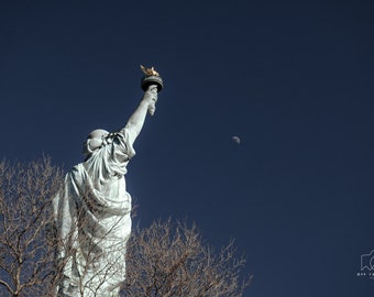 May include: The Statue of Liberty, a neoclassical sculpture, is seen from behind, holding a torch aloft against a deep blue sky. Bare tree branches frame the statue's base. A crescent moon is visible in the sky.