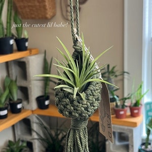 Macrame Air Plant Hanger-Hanging Plant Pod-Air Plant Nest-Boho macrame planter - air plant holder-Plant Lover Gift-Teacher Gift-Gift for Her