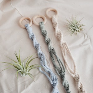Macrame Air Plant Holder, Air Plant Hanger, Small Air Plant Display, Boho Macrame Wall Hanging, Succulent Plant Hanger