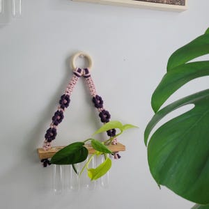 May include: A macrame plant hanger with a wooden shelf and five glass test tubes. The hanger is made with purple and pink cord and features a wooden ring at the top. The plant hanger is hanging on a white wall with a green monstera plant leaf in the background.