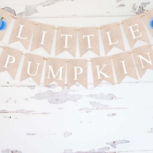 Fall Birthday Decor, Little Pumpkin Banner, Blue Watercolor Pumpkin Decor, Fall Baby Shower Decor, Blue Pumpkin Party Garland Printable