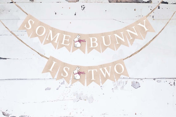 Pink Some Bunny Is Two Banner, Easter Birthday Party Decor, Second Birthday Decorations, Bunny Party Decor, Bunny Birthday Party Printable