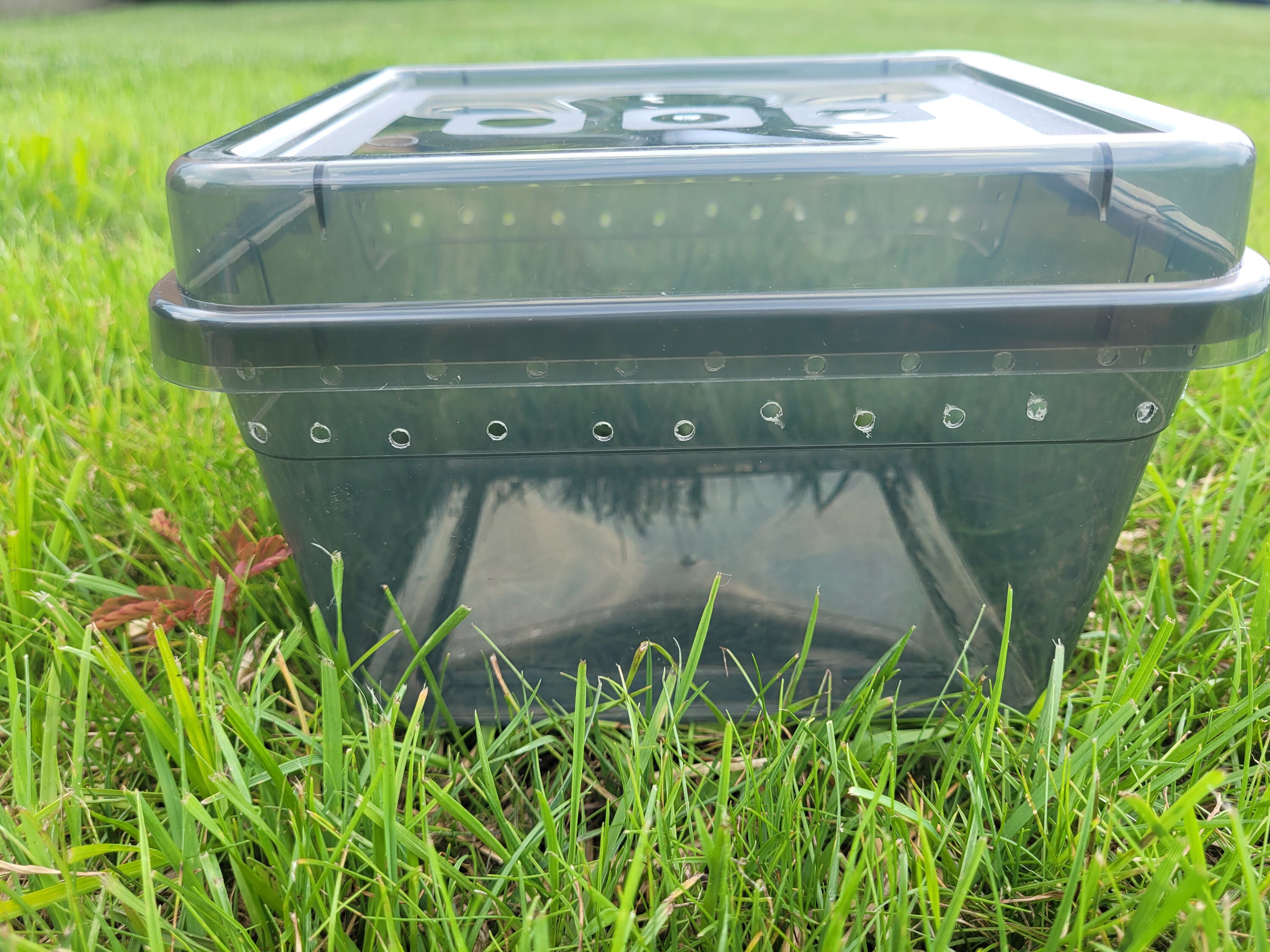 Isopod Enclosure Enclosure Only Etsy