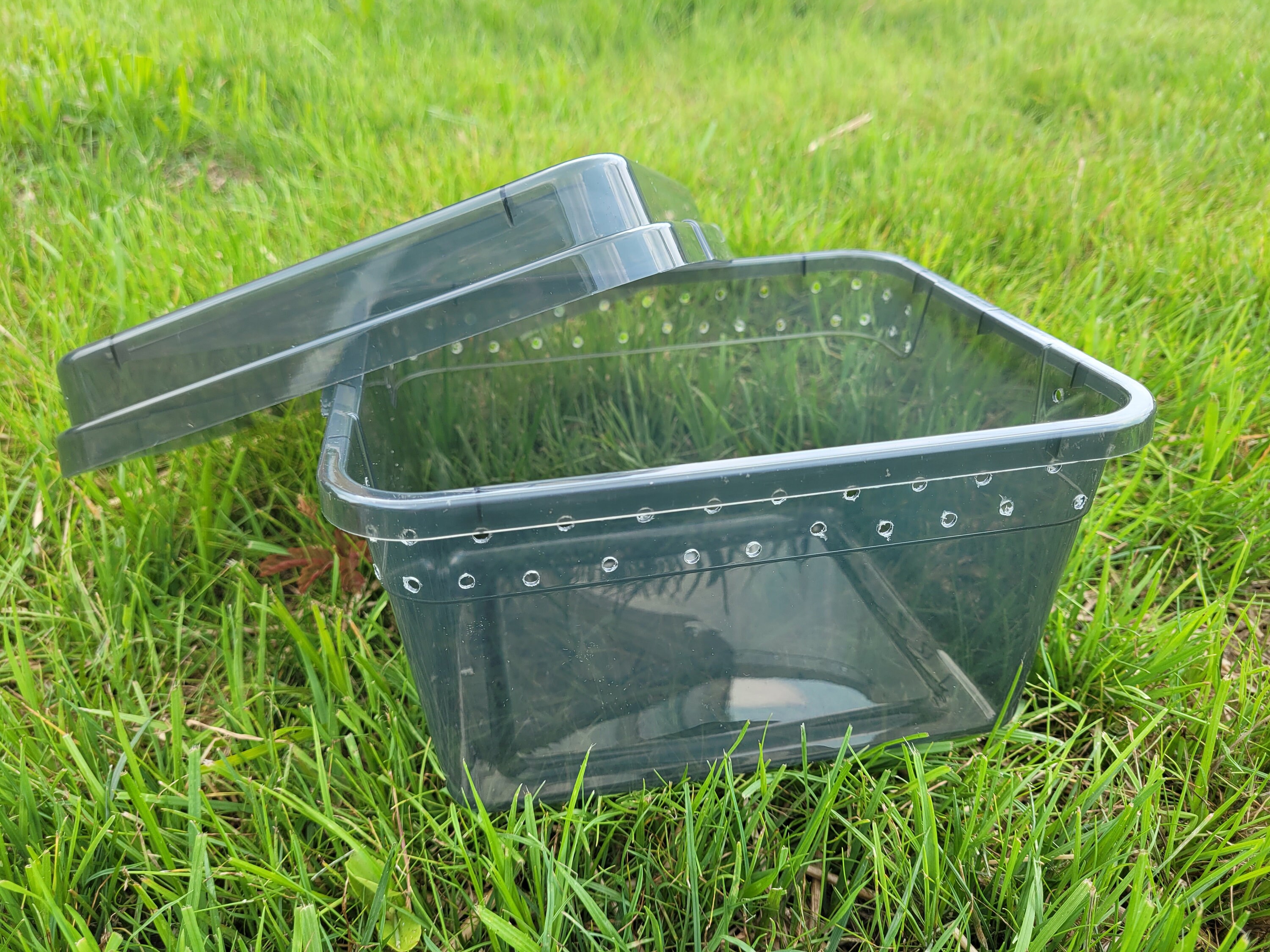 Isopod Enclosure Enclosure Only Etsy