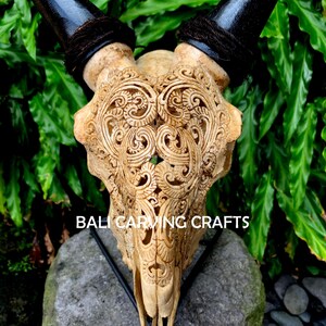 Goat Skull Carved, OrigInal Goat Skull Carving
