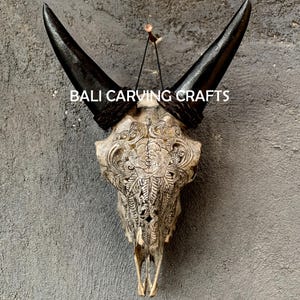 Goat Skull Carved, OrigInal Goat Skull Carving, Rose Flower