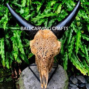 Goat Skull Carved, OrigInal Goat Skull Carving