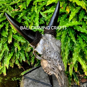 Goat Skull Carved, OrigInal Goat Skull Carving, Rose Flower