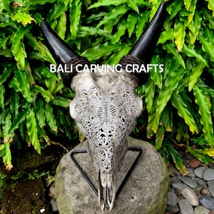 Goat Skull Carved, OrigInal Goat Skull Carving