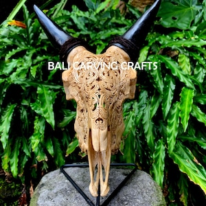 Goat Skull Carved, OrigInal Goat Skull Carving