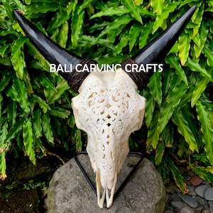 Goat Skull Carved, OrigInal Goat Skull Carving
