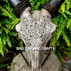 Goat Skull Carved, OrigInal Goat Skull Carving