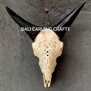 Goat Skull Carved, OrigInal Goat Skull Carving