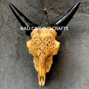 Goat Skull Carved, OrigInal Goat Skull Carving