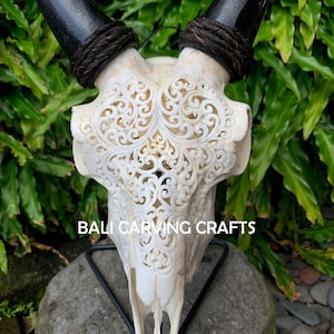 Goat Skull Carved, OrigInal Goat Skull Carving