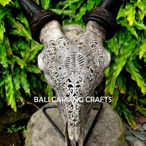 Goat Skull Carved, OrigInal Goat Skull Carving