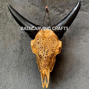 Goat Skull Carved, OrigInal Goat Skull Carving