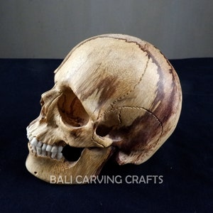 May include: A side profile of a carved wooden skull with detailed features. The skull is light brown with darker brown streaks and white teeth. The text "BALI CARVING CRAFTS" is visible at the bottom.