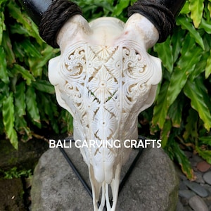 Goat Skull Carved, OrigInal Goat Skull Carving
