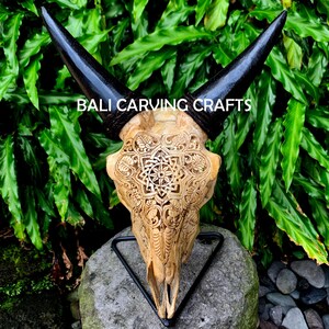 Carved Goat Skull, OrigInal Goat Skull Mandala Carving