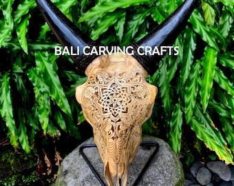 ヤギの頭蓋骨を彫る - Etsy 日本