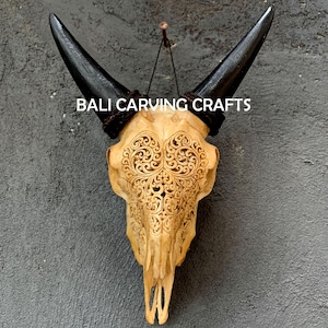 Carved Goat Skull, OrigInal Goat Skull Tribal Carving