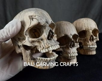 アジア人男性の頭蓋骨レプリカ - Etsy 日本