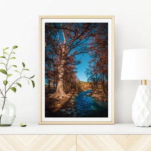 Landscape Photography, River View 1, Texas Hill Country Nature Photography, Modern Decor, Wall Art Print, Wall Decor