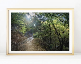 Landscape Photography, Lost Maples Trail 1, Texas Nature Photography, Modern Decor, Wall Art Print, Wall Decor