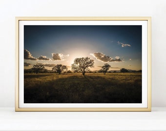 Sunset Landscape Photography, Tree at Dusk, Texas Nature Photography, Modern Decor, Tree Wall Art Print, Wall Decor