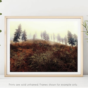 Landscape Photography, PNW Trees, Pacific Northwest Nature Photography, Modern Decor, Tree Wall Art Print, Wall Decor